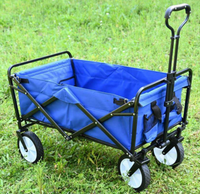 Stroller Wagon TS202034
