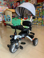 Tricycle w/Sunshade FTS32341