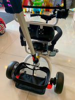 Tricycle w/Sunshade FTS32341
