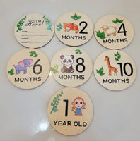 Wooden Monthly Milestone 7pcs fts40465