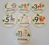 Wooden Monthly Milestone 7pcs fts40465