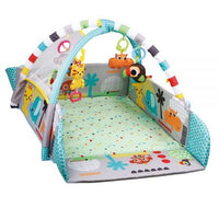 Gym & Ball Mat Pit-5 ways FTS32309