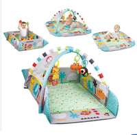 Gym & Ball Mat Pit-5 ways FTS32309