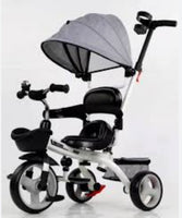 Tricycle w/Sunshade FTS32341