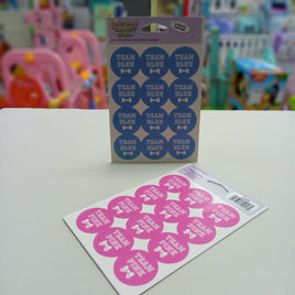Stickers Team Pink/Blue 2 Shee