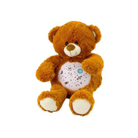 My Calm Bear FTOY2023003