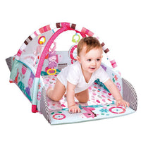Gym & Ball Mat Pit-5 ways FTS32309