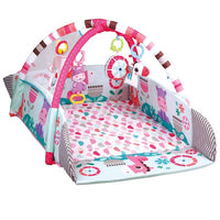 Gym & Ball Mat Pit-5 ways FTS32309