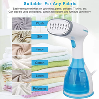 Handheld Garment Steamer FTS32572