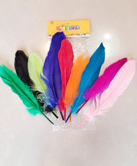 Craft Feathers 6pk