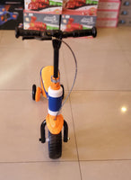 Trike Scooter Sit & Stand Ftoy2022059