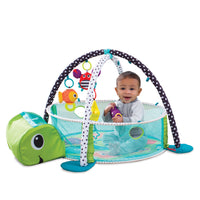 Gym & Ball Mat Pit-Turtle FTS32311