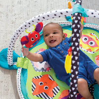 Gym & Ball Mat Pit-Turtle FTS32311