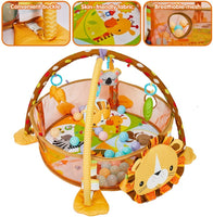 Gym & Ball Mat Pit-Lion FTS32312
