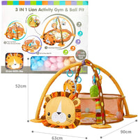 Gym & Ball Mat Pit-Lion FTS32312