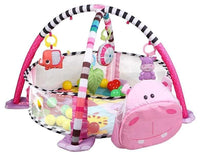 Gym & Ball Mat Pit-Hippo FTS32313