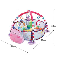 Gym & Ball Mat Pit-Hippo FTS32313