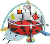 Gym Mat w/Activity FTS32292