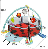 Gym Mat w/Activity FTS32292