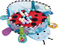 Gym Mat w/Activity FTS32292