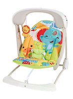 Take Along Swing & Seat FTS32370