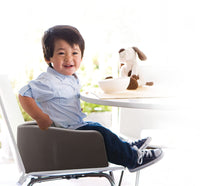 High Chair Booster- Brown