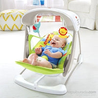 Take Along Swing Seat fts32369