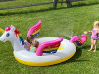 Unicorn Pool FTS17564