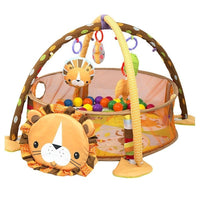 Gym & Ball Mat Pit-Lion FTS32312