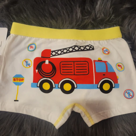 Single Boxers tsboxers