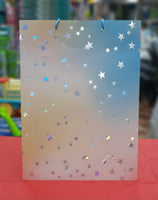 Gift Bag Pastel Stars 16*12" fts11772