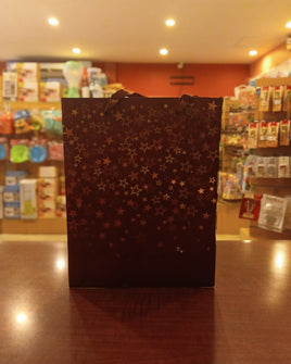 Gift Bag Star 7x9\" FTS11655