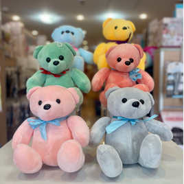 Plush Colored Teddy 10" FTOY2022041