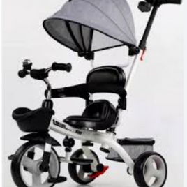 Tricycle w/Sunshade FTS32341