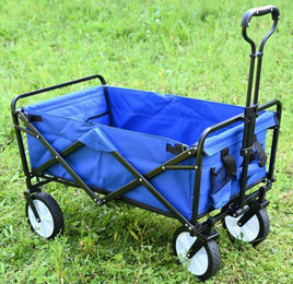 Stroller Wagon TS202034