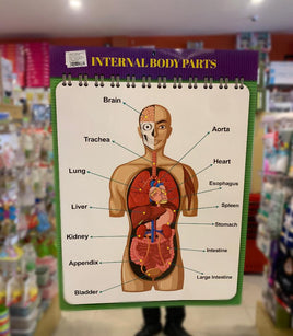 Educational Chart Body Parts