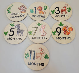 Wooden Monthly Milestone 7pcs fts40465