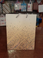 Gift bag 2 tone w/silver 7*9"fts32694