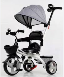 Tricycle w/Sunshade FTS32341