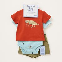 Boys Outfit 3pc fts40453