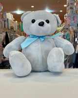 Plush Colored Teddy 10" FTOY2022041