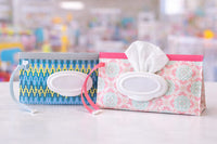 Wipes Pouch fts40195