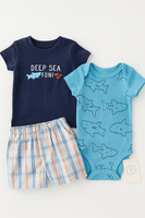 Boys Outfit 3pc fts40453