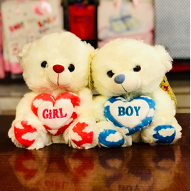 Plush Teddy Boy/Girl 9.5\" FTS23653
