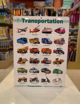 Educational Chart Transport FTS32766