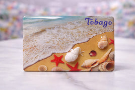 Souvenir Fridge Magnet Seashell fts23829