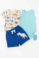 Boys Outfit 3pc fts40453