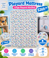 Mattress-Lg Playard 43x29x2 MattressLgPlayard