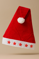 Christmas Santa Lighting Hat FTS15669