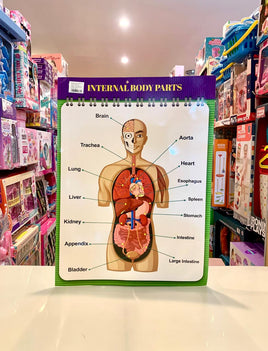 Educational Chart Body Parts